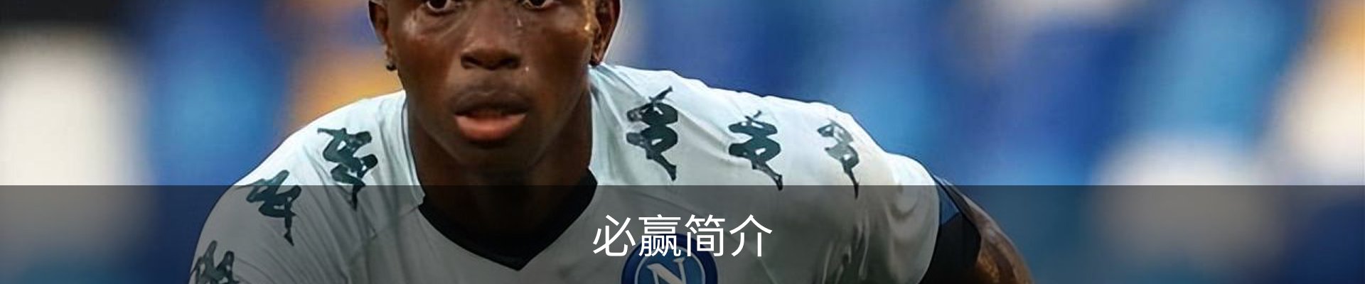 必赢简介